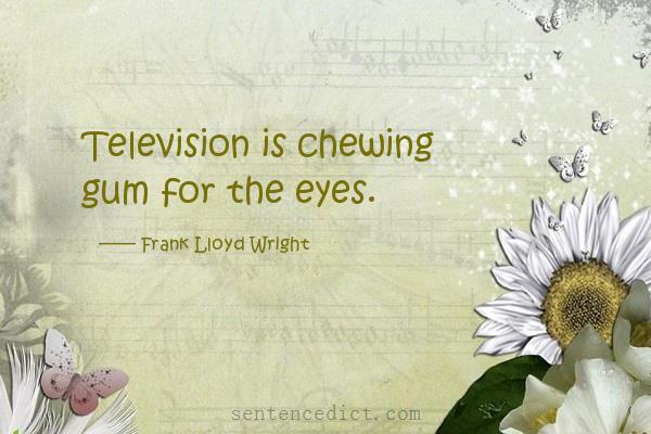Good sentence's beautiful picture_Television is chewing gum for the eyes.