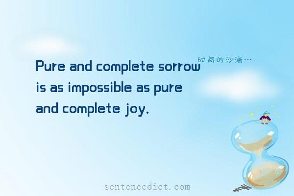 Good sentence's beautiful picture_Pure and complete sorrow is as impossible as pure and complete joy.