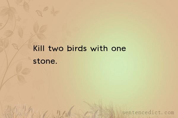 Good sentence's beautiful picture_Kill two birds with one stone.