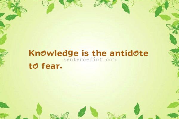 Good sentence's beautiful picture_Knowledge is the antidote to fear.