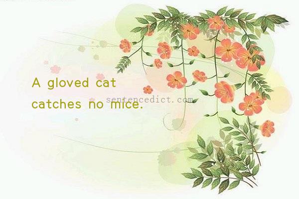 Good sentence's beautiful picture_A gloved cat catches no mice.