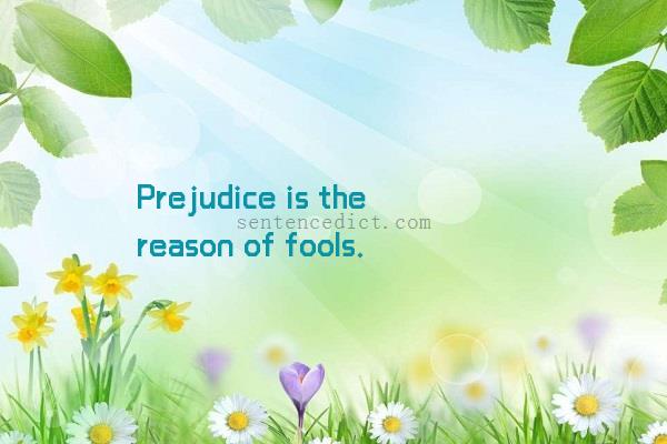 Good sentence's beautiful picture_Prejudice is the reason of fools.