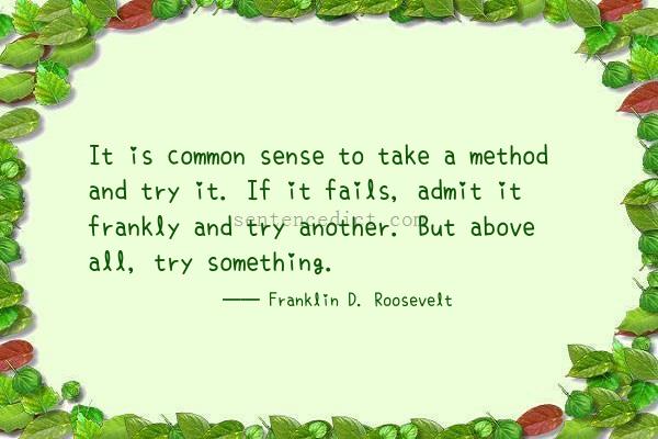 Good sentence's beautiful picture_It is common sense to take a method and try it. If it fails, admit it frankly and try another. But above all, try something.