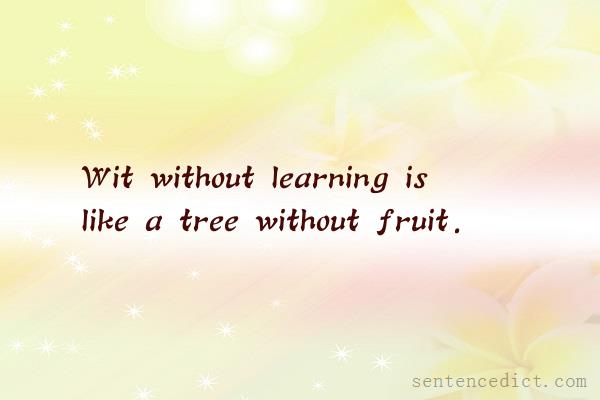 Good sentence's beautiful picture_Wit without learning is like a tree without fruit.