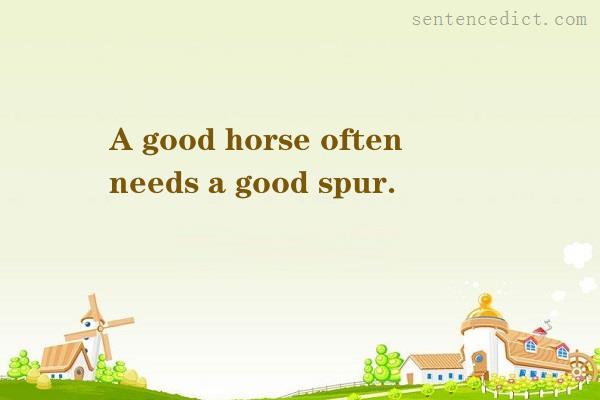 Good sentence's beautiful picture_A good horse often needs a good spur.