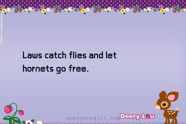 Good sentence's beautiful picture_Laws catch flies and let hornets go free.