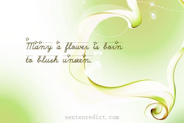Good sentence's beautiful picture_Many a flower is born to blush unseen.