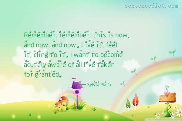 Good sentence's beautiful picture_Remember, remember, this is now, and now, and now. Live it, feel it, cling to it. I want to become acutely aware of all I've taken for granted.