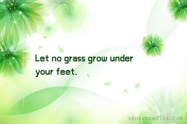 Good sentence's beautiful picture_Let no grass grow under your feet.