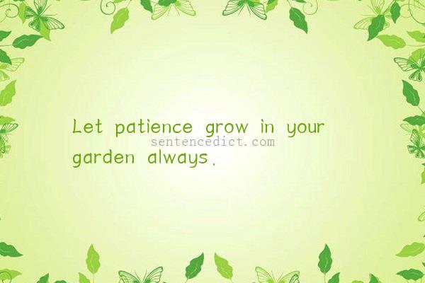 Good sentence's beautiful picture_Let patience grow in your garden always.