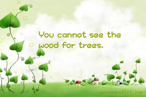 Good sentence's beautiful picture_You cannot see the wood for trees.