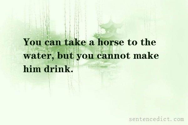 Good sentence's beautiful picture_You can take a horse to the water, but you cannot make him drink.