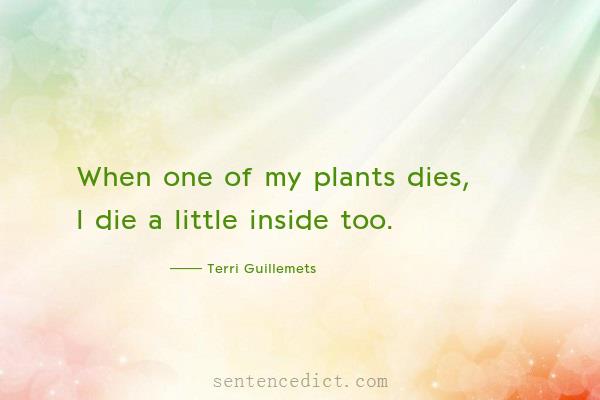Good sentence's beautiful picture_When one of my plants dies, I die a little inside too.