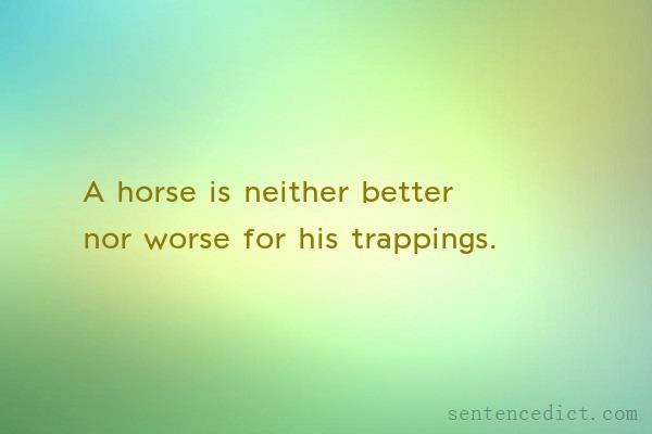 Good sentence's beautiful picture_A horse is neither better nor worse for his trappings.