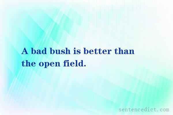 Good sentence's beautiful picture_A bad bush is better than the open field.