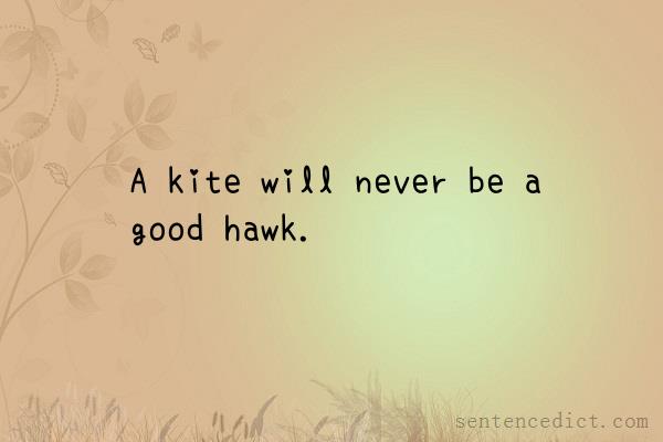Good sentence's beautiful picture_A kite will never be a good hawk.