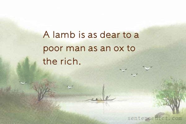 Good sentence's beautiful picture_A lamb is as dear to a poor man as an ox to the rich.