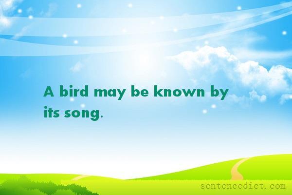 Good sentence's beautiful picture_A bird may be known by its song.
