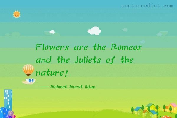 Good sentence's beautiful picture_Flowers are the Romeos and the Juliets of the nature!