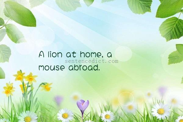 Good sentence's beautiful picture_A lion at home, a mouse abroad.