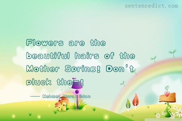 Good sentence's beautiful picture_Flowers are the beautiful hairs of the Mother Spring! Don't pluck them!
