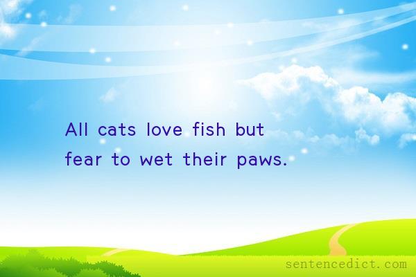 Good sentence's beautiful picture_All cats love fish but fear to wet their paws.