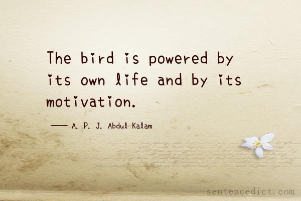 Good sentence's beautiful picture_The bird is powered by its own life and by its motivation.