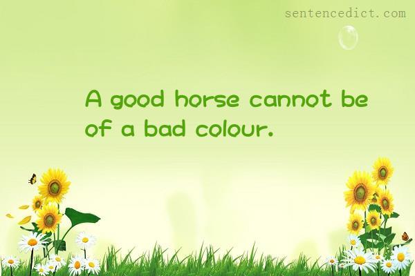 Good sentence's beautiful picture_A good horse cannot be of a bad colour.