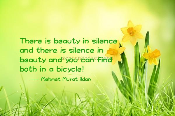 Good sentence's beautiful picture_There is beauty in silence and there is silence in beauty and you can find both in a bicycle!