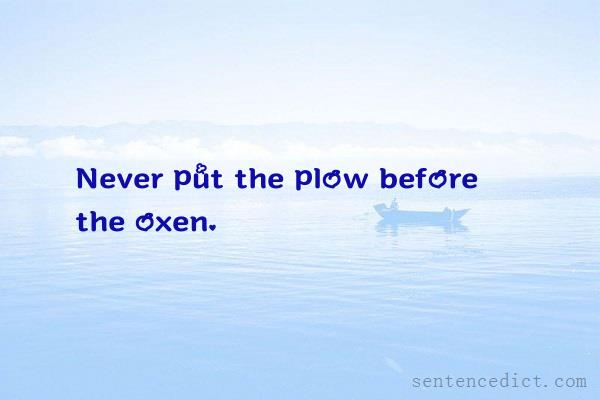 Good sentence's beautiful picture_Never put the plow before the oxen.