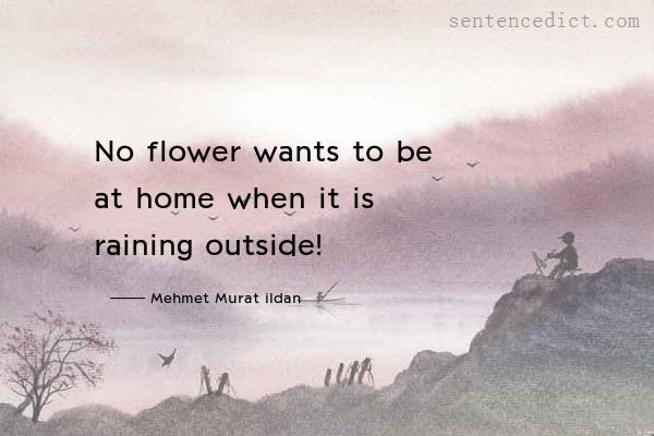 Good sentence's beautiful picture_No flower wants to be at home when it is raining outside!
