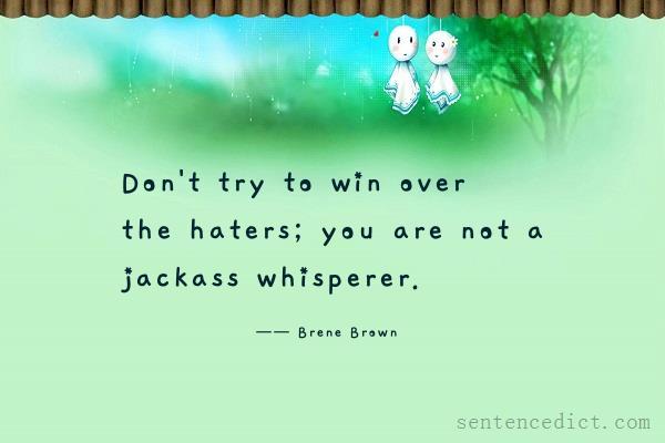 Good sentence's beautiful picture_Don't try to win over the haters; you are not a jackass whisperer.
