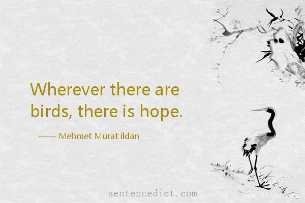 Good sentence's beautiful picture_Wherever there are birds, there is hope.