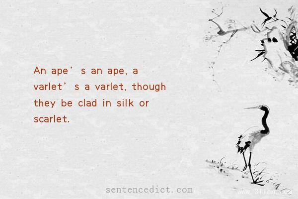 Good sentence's beautiful picture_An ape’s an ape, a varlet’s a varlet, though they be clad in silk or scarlet.