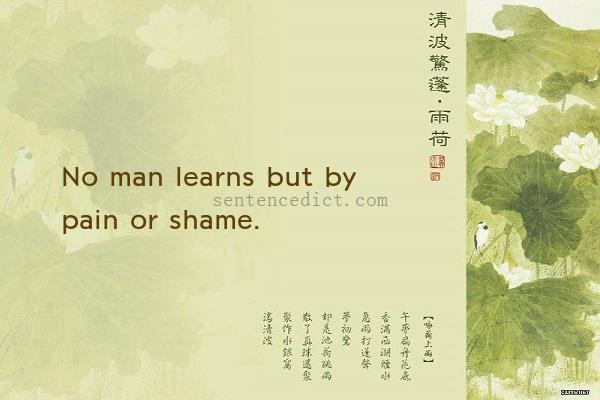 Good sentence's beautiful picture_No man learns but by pain or shame.