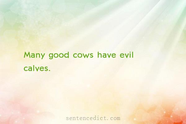 Good sentence's beautiful picture_Many good cows have evil calves.