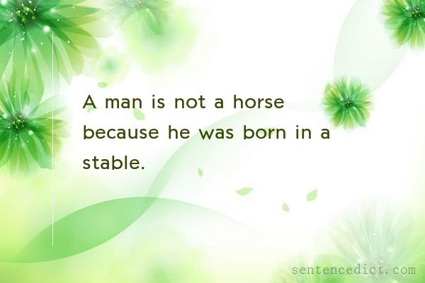 Good sentence's beautiful picture_A man is not a horse because he was born in a stable.