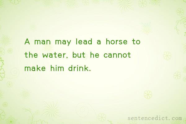 Good sentence's beautiful picture_A man may lead a horse to the water, but he cannot make him drink.