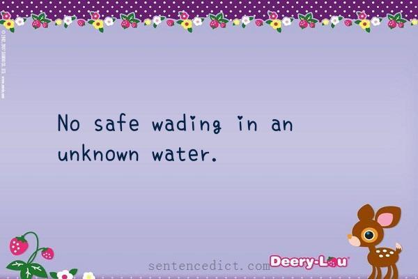 Good sentence's beautiful picture_No safe wading in an unknown water.