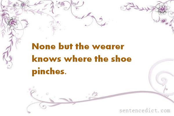 Good sentence's beautiful picture_None but the wearer knows where the shoe pinches.