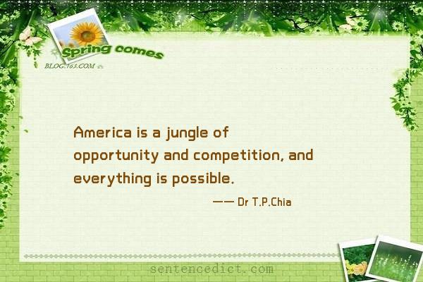 Good sentence's beautiful picture_America is a jungle of opportunity and competition, and everything is possible.