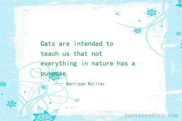 Good sentence's beautiful picture_Cats are intended to teach us that not everything in nature has a purpose.