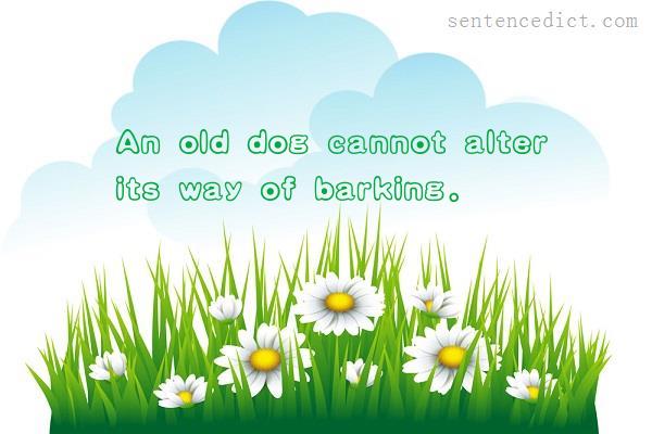 Good sentence's beautiful picture_An old dog cannot alter its way of barking.