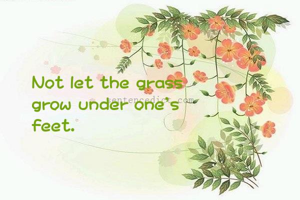 Good sentence's beautiful picture_Not let the grass grow under one's feet.