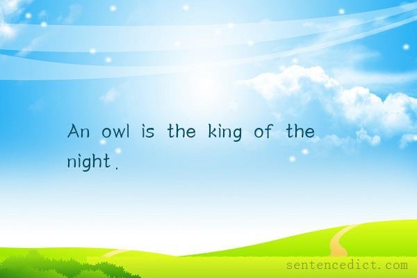 Good sentence's beautiful picture_An owl is the king of the night.