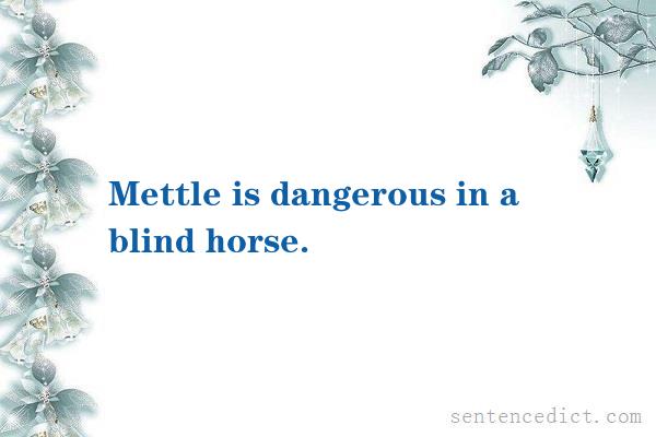 Good sentence's beautiful picture_Mettle is dangerous in a blind horse.
