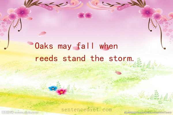 Good sentence's beautiful picture_Oaks may fall when reeds stand the storm.