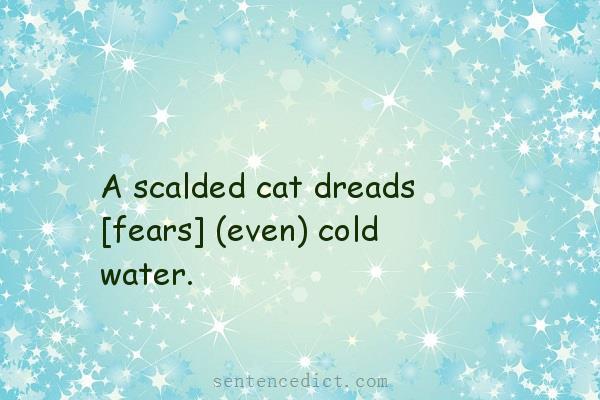 Good sentence's beautiful picture_A scalded cat dreads [fears] (even) cold water.