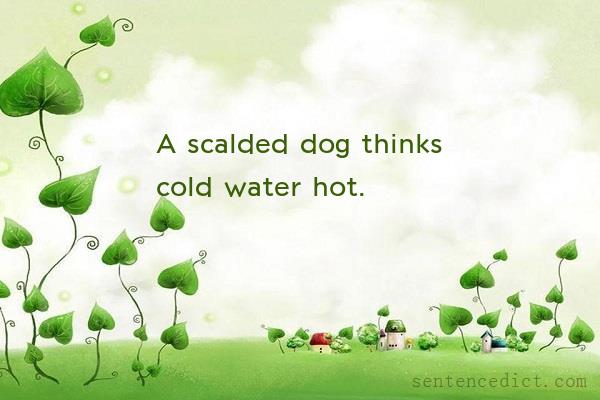 Good sentence's beautiful picture_A scalded dog thinks cold water hot.