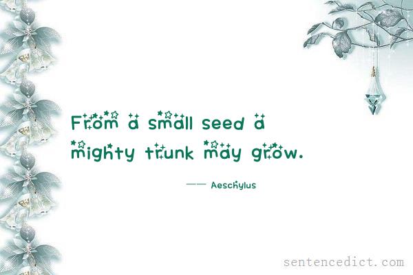 Good sentence's beautiful picture_From a small seed a mighty trunk may grow.